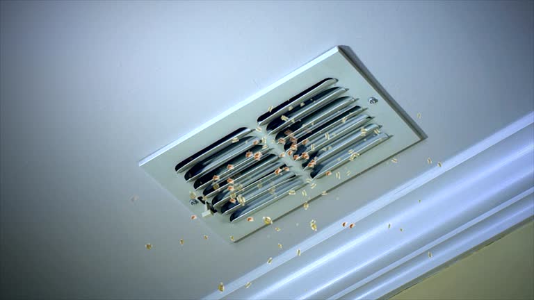 Best Commercial HVAC Duct Cleaning  in Franklinton, LA